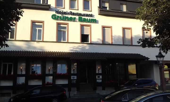 Hotel Gruner Baum